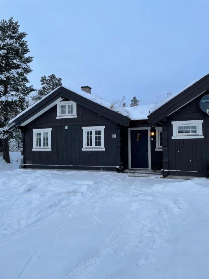 Hytte I Nydelige Jotunhemen - Rett Ved Besseggen Randsverk Exterior photo